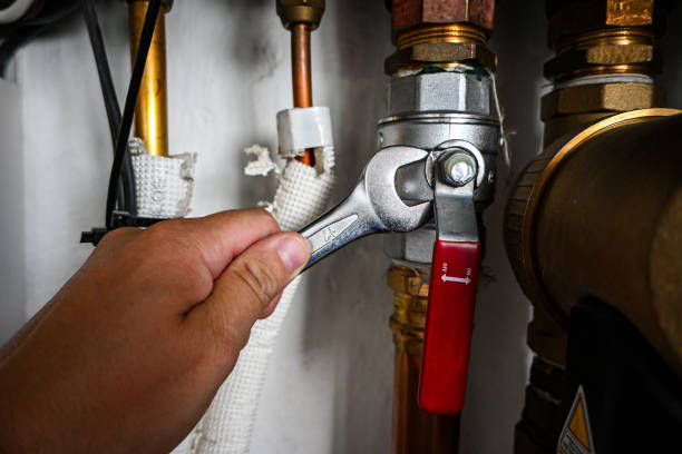 Best Commercial Plumbing Services  in Independence, IA